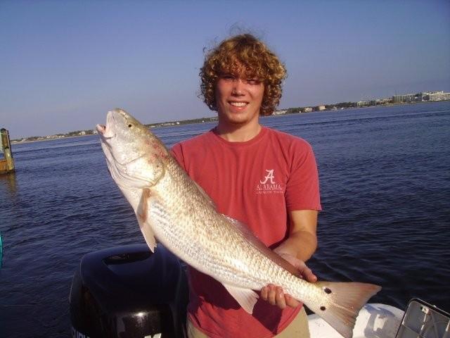 Bull Redfish